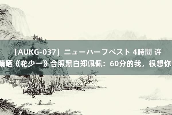 【AUKG-037】ニューハーフベスト 4時間 许晴晒《花少一》合照黑白郑佩佩：60分的我，很想你！