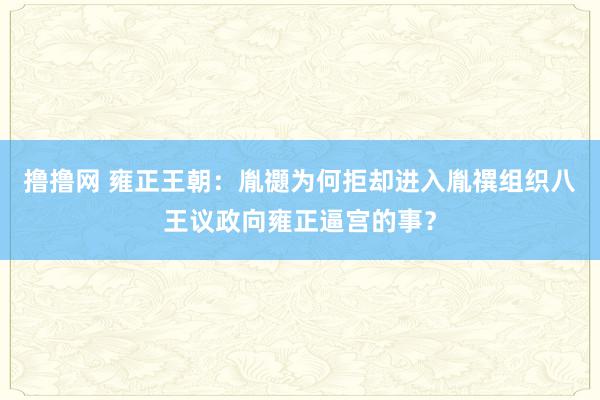 撸撸网 雍正王朝：胤禵为何拒却进入胤禩组织八王议政向雍正逼宫的事？