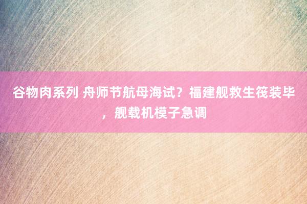 谷物肉系列 舟师节航母海试？福建舰救生筏装毕，舰载机模子急调