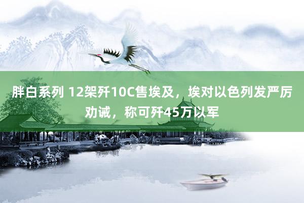 胖白系列 12架歼10C售埃及，埃对以色列发严厉劝诫，称可歼45万以军