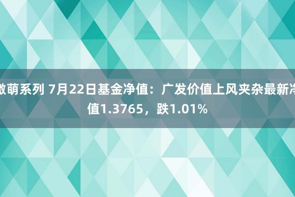 激萌系列 7月22日基金净值：广发价值上风夹杂最新净值1.3765，跌1.01%