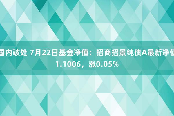 国内破处 7月22日基金净值：招商招景纯债A最新净值1.1006，涨0.05%