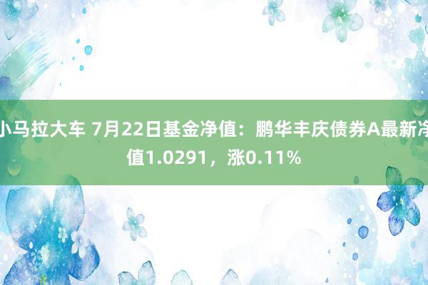 小马拉大车 7月22日基金净值：鹏华丰庆债券A最新净值1.0291，涨0.11%