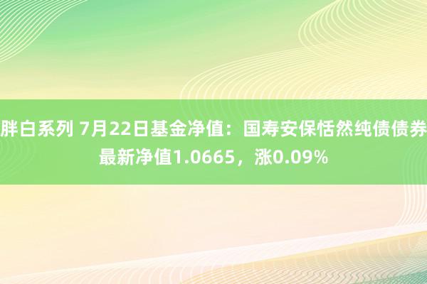 胖白系列 7月22日基金净值：国寿安保恬然纯债债券最新净值1.0665，涨0.09%