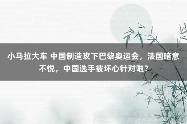 小马拉大车 中国制造攻下巴黎奥运会，法国暗意不悦，中国选手被坏心针对啦？