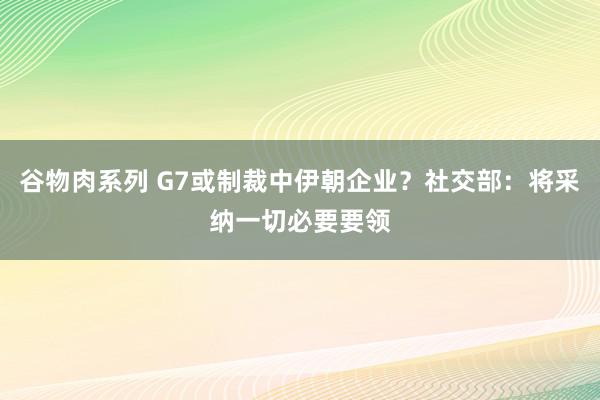 谷物肉系列 G7或制裁中伊朝企业？社交部：将采纳一切必要要领