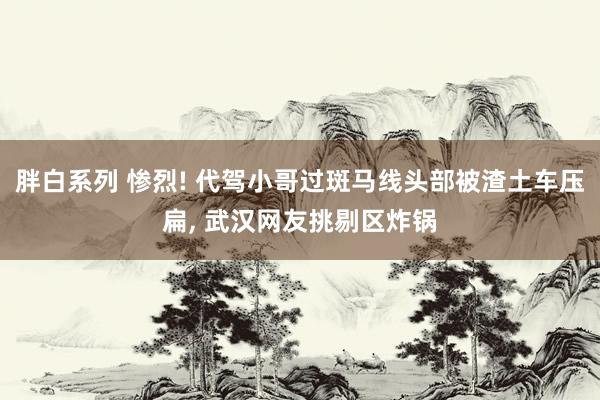 胖白系列 惨烈! 代驾小哥过斑马线头部被渣土车压扁, 武汉网友挑剔区炸锅