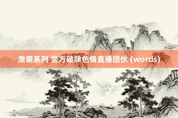 激萌系列 警方破除色情直播团伙 (words)