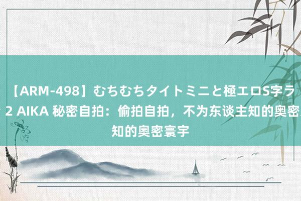 【ARM-498】むちむちタイトミニと極エロS字ライン 2 AIKA 秘密自拍：偷拍自拍，不为东谈主知的奥密寰宇